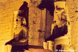 Luxor temple