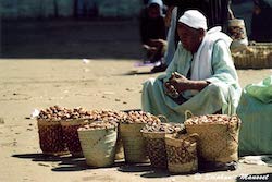 Old man in Aswan