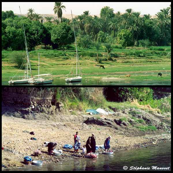 paysages des rives du Nil en Egypte