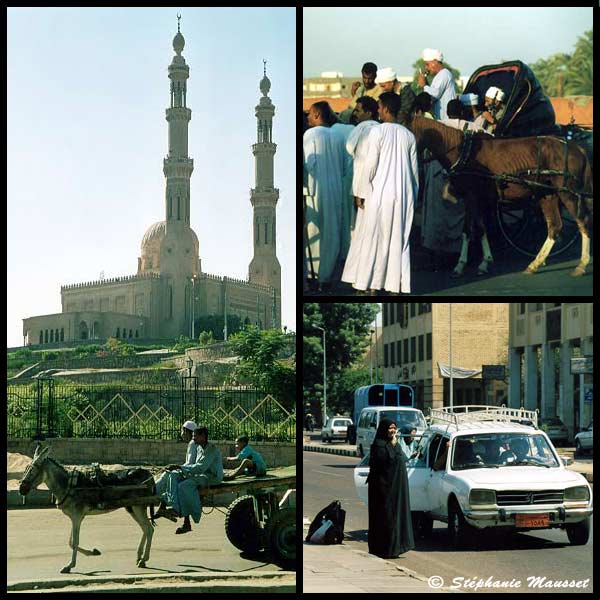 transport en Egypte : de la charette au taxi