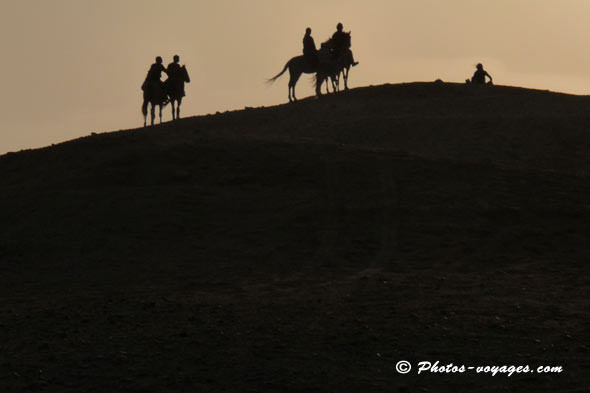 cavaliers du désert au crépuscule