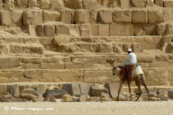 Promenade dromadaire à Gizeh en Egypte