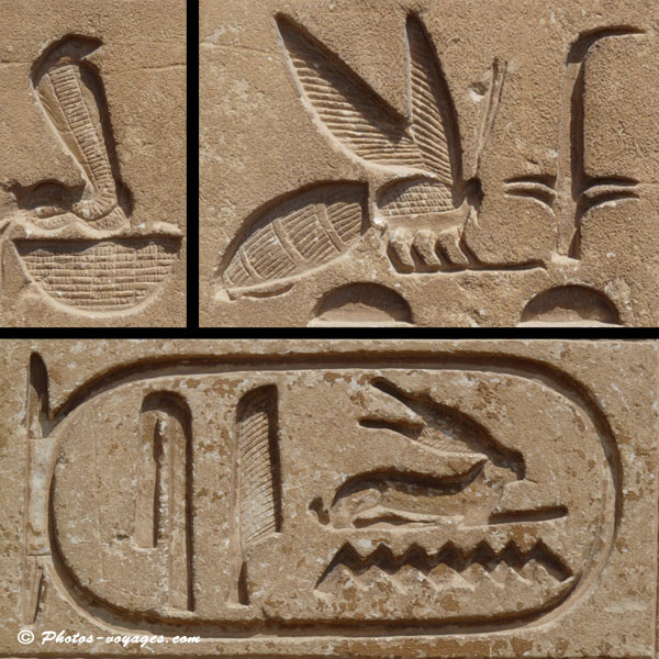 hiéroglyphes de Saqqara