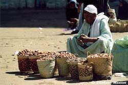 vieil homme à Assouan