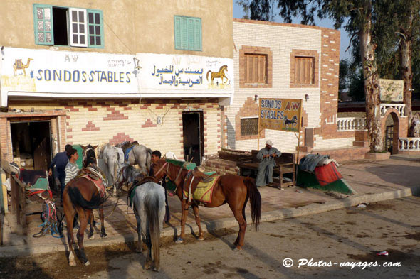 Quartier Gizeh du Caire