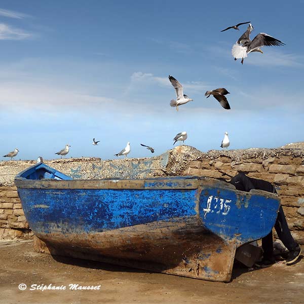 Carte postale d'Essaouira : mouettes et bateau de pêche
