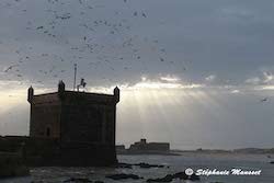 Fort d'Essaouira