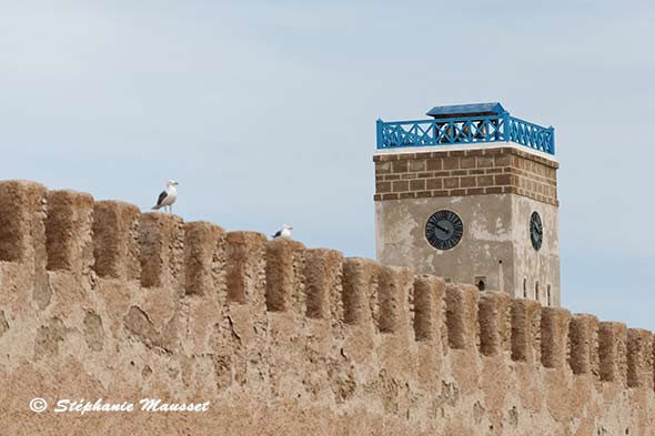 Mur d'enceinte d'Essaouira