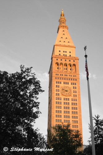 Vue depuis le madison square park