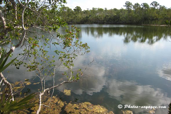 Blue hole dans les Keys de Floride