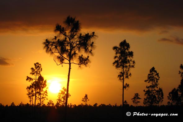 Coucher de soleil dans les Everglades