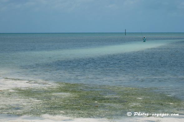 Pêcheur à plage Anne dans les keys de Floride