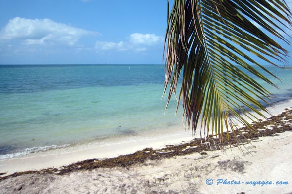 Plage de rêve en Floride