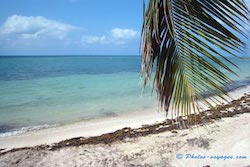 plage de rêve Floride