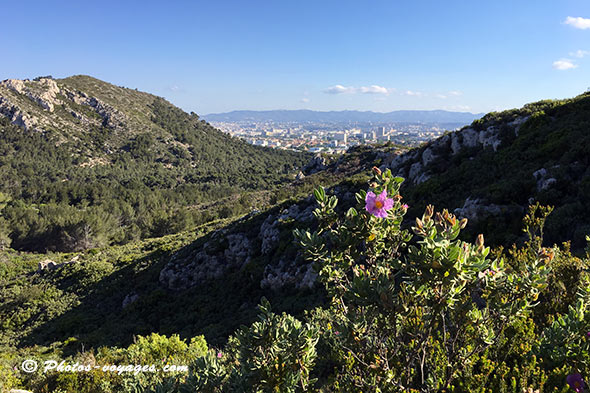 Marseille et les calanques