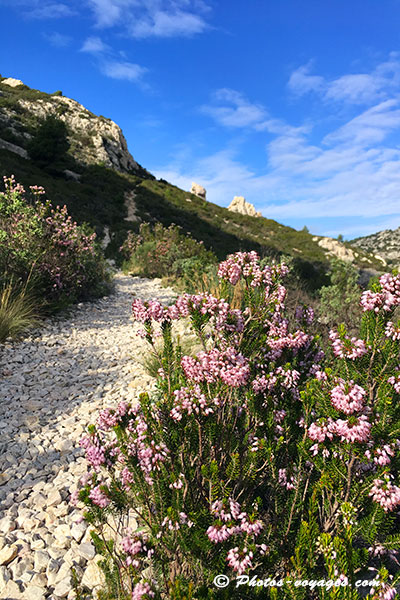 Calanques de Sormiou