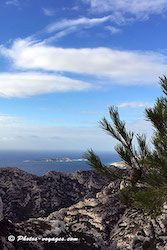 Paysage des calanques