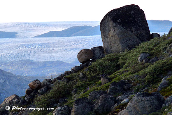 paysage contrasté de végétation et calotte glaciaire