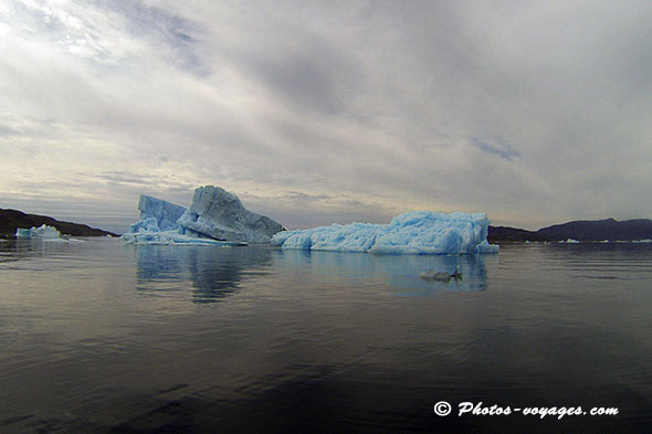 Dérive d'icebergs sur une mer sombre