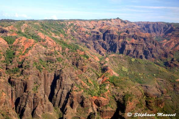 waimea canyon in Hawaii