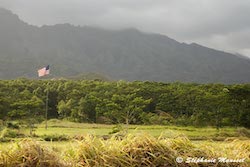 hawaian landscape