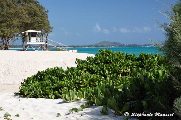 Kailua beach landscape