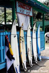 surfs on waikiki beach