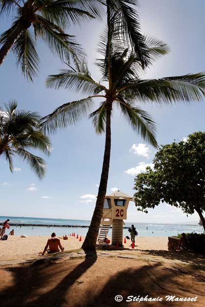 Waikiki beach landscape in Hawaii