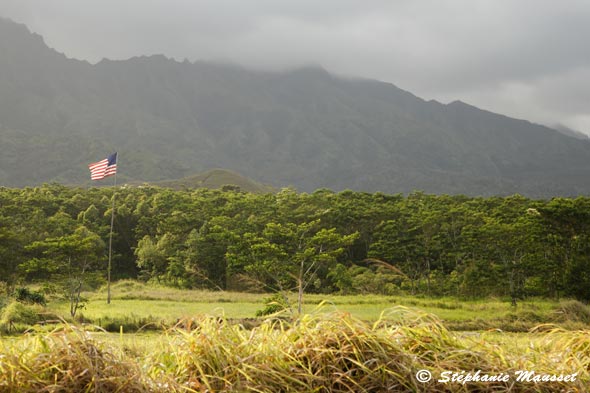 drapeau américain dans plaine verdoyante d'Hawaii