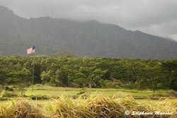 Paysage d'Hawaii