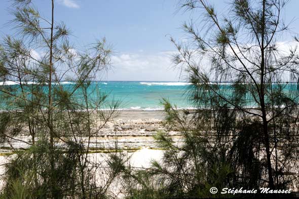 plage d'Hawaii aux eaux turquoises