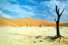 Dead vlei en Namibie