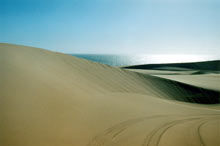 Rencontre du désert et de l'océan en Namibie