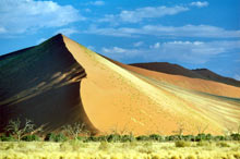 Colorations de dunes en Namibie