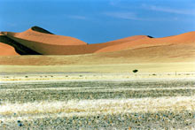Cordon dunaire désert du Namib