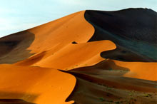 Ondulations de dunes aux couleurs chaudes