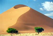Dune de Namibie couleur abricot
