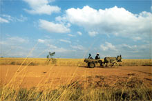 piste en terre d'Afrique du sud