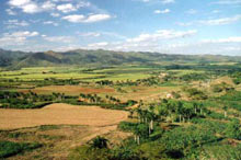 Paysage de Cuba