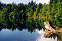 Reflets dans un lac du Canada