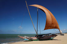 Pirogue du Sri Lanka