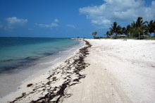 plage de Floride