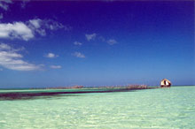 plage de Cayococo à Cuba