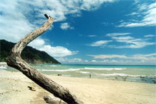 plage de Cabo blanco au Costa rica