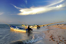 plage Celestun au Mexique