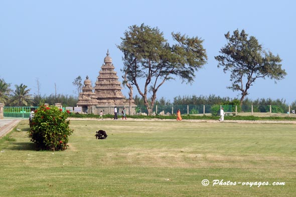 temple de mamallapuram