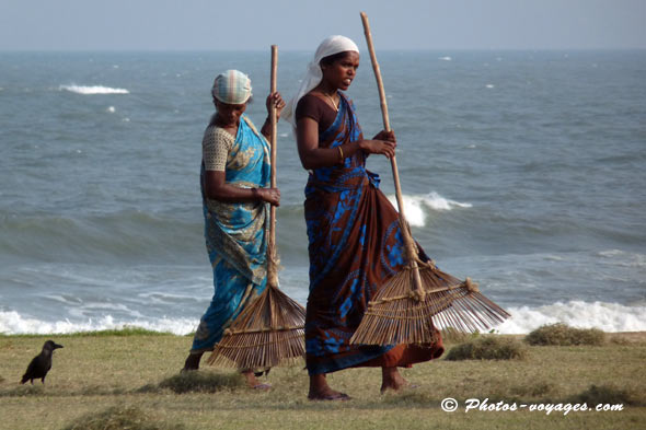 femmes indiennes ramassent l'herbe coupée