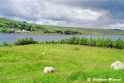 Connemara