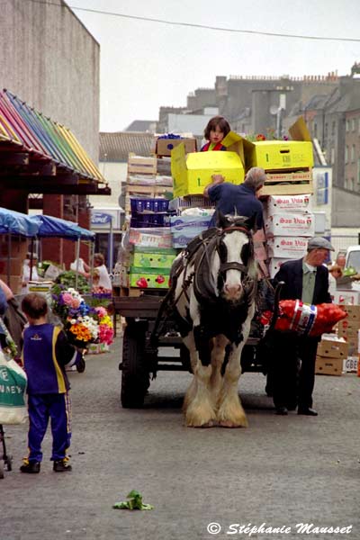 the young girl and the horse-drawn carriage