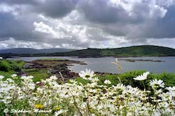 Connemara scenery